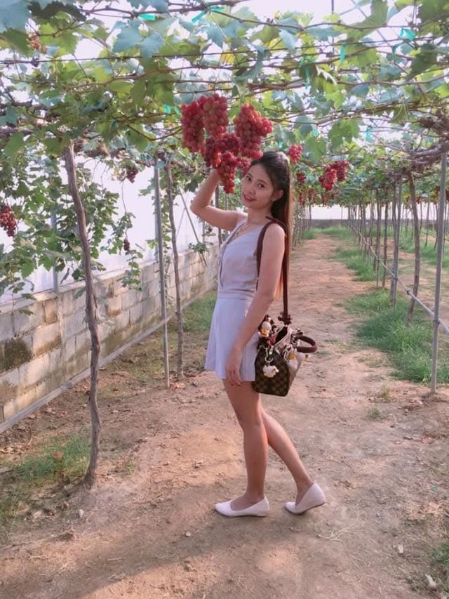 ไร่องุ่นซิลเวอร์เลค พัทยา