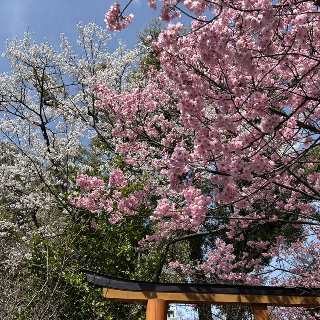【ROKU KYOTO】ホテルステイを満喫する！