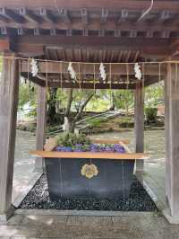 【北九州観光】月に2回入れ替わる花手水に癒される❁⃘