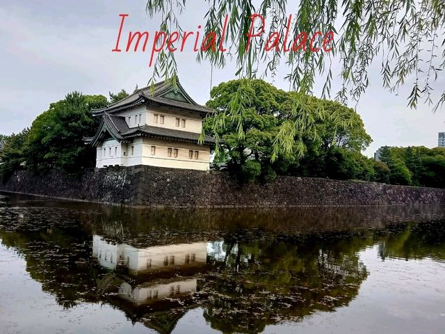 ชมรอบ Imperial Palace✨️