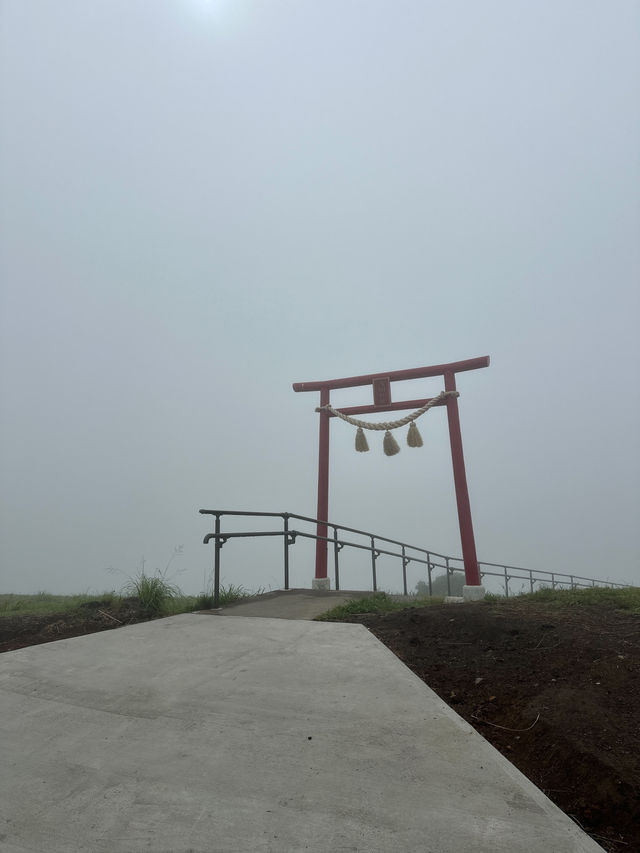 🌋 伊豆大室山：壯麗而平靜的一刻