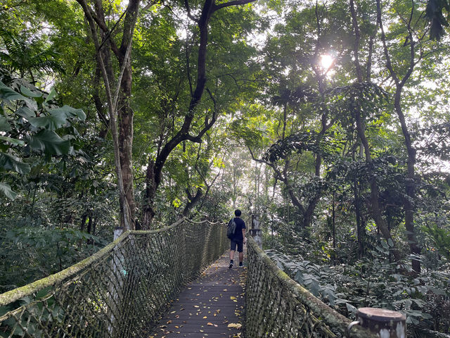 🌿 Morning Escape to Nature at Sungei Buloh Wetland Reserve 🐊🦅🌞