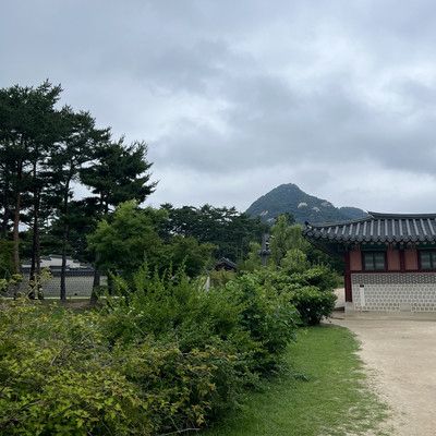 경복궁, 궁을 가다