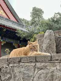 You MUST visit this place in Beijing