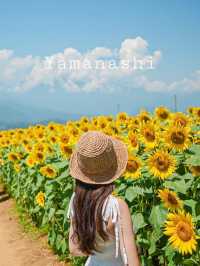山梨の人気ひまわりスポットをご紹介🌻