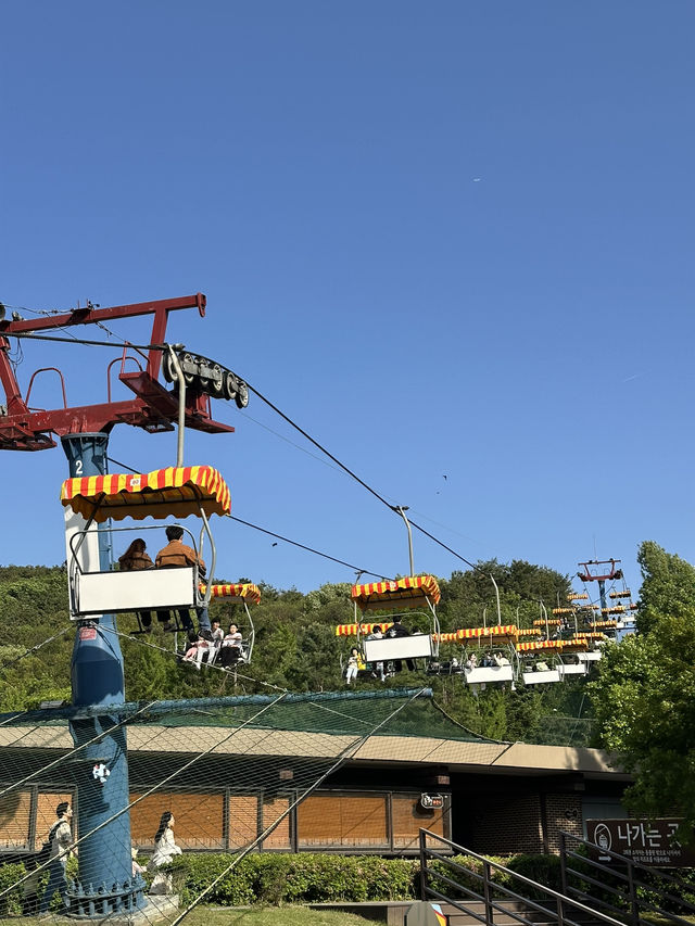 首爾動物園怎麼玩？韓國親子旅遊神景點🎠