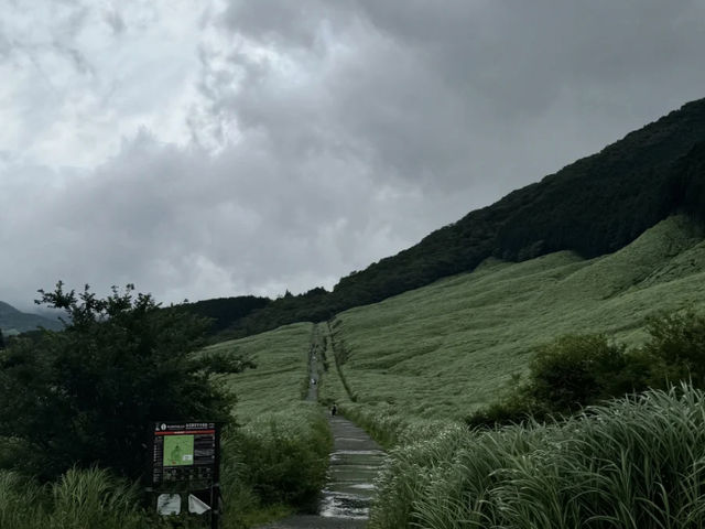 Sengokuhara & Owakudani: A Beautiful Detour and Volcanic Wonders! 🌿🌋