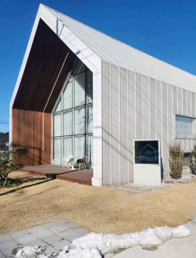 반려견과함께 강릉양식전문점🍴세레니타