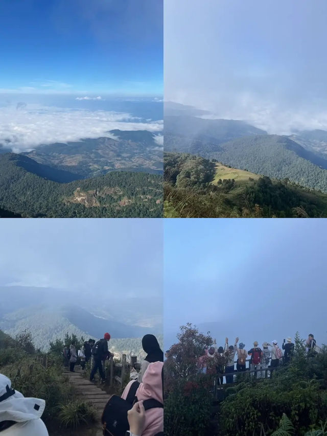 กิ่วแม่ปาน วิวสวยคุ้มค่าเหนื่อยแน่นอน⛰️🌳