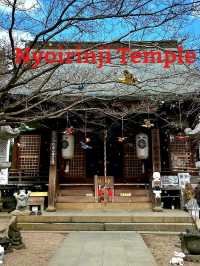 Nyoirinji Temple หรือวัดกบ🐸