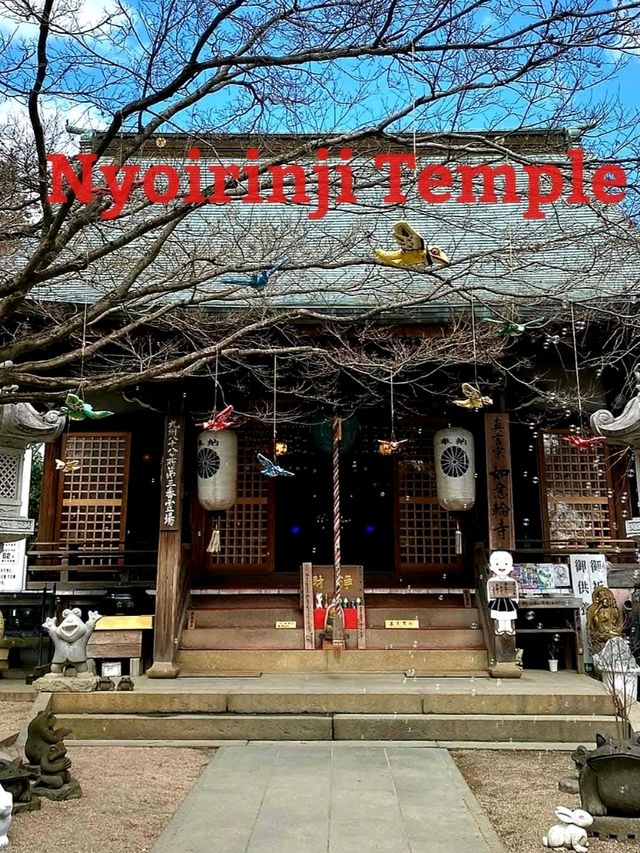 Nyoirinji Temple หรือวัดกบ🐸