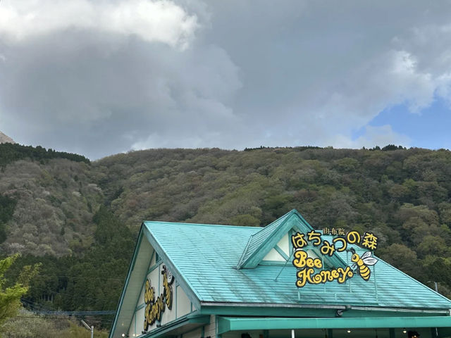 Yufuin: A Fairytale Town Worth the Crowds! 🌸🏞️