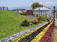 🏯 Echoes of the Samurai: A Quiet Moment at the Site of Konotate in Usuki