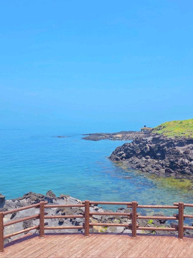 동쪽 여름 가이드🐬