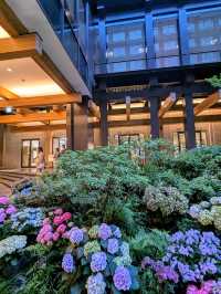 京都 | 新風館，在鬧區中邊逛街邊賞花