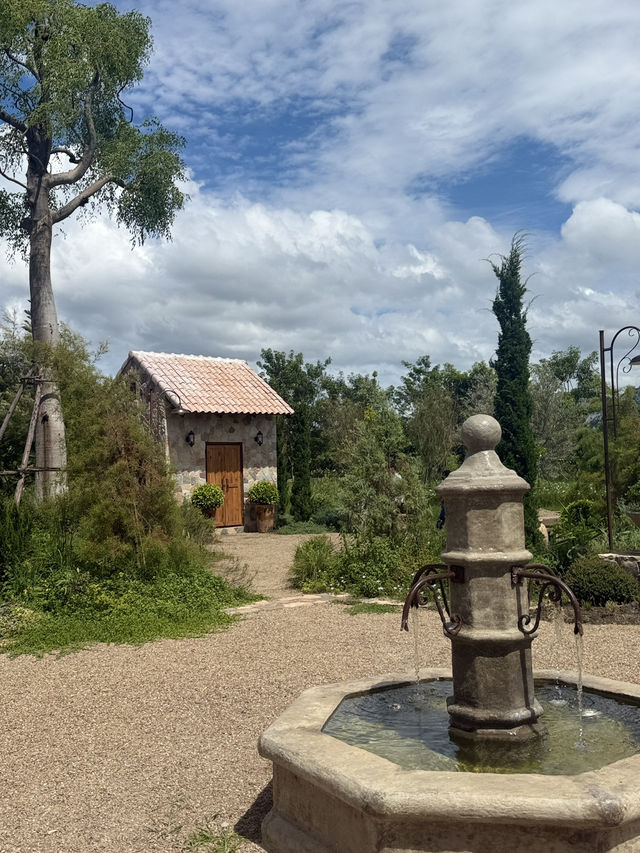 คาเฟ่ ราชบุรี ที่มีมะกอกโอลีฟ ถึงสองต้น