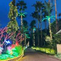 【️沖縄】 美らヤシパークオキナワ 東南植物楽園🌴