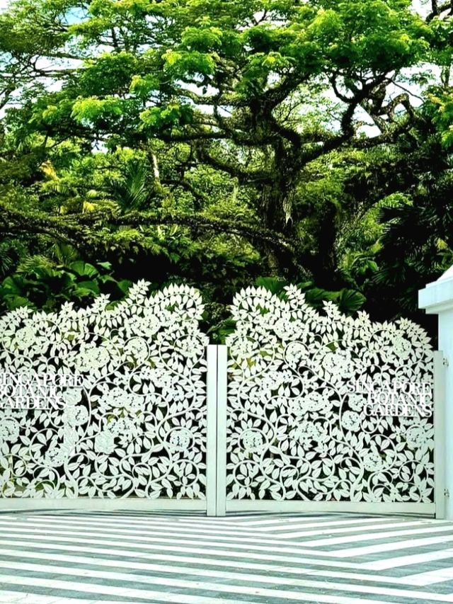 Discovering the Botanic Gardens Singapore
