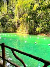 Whispers Beneath the Blue: Enchanted River of Hinatuan
