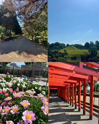[Japan 🇯🇵] Suizenji Jojuen Koen: A Slice of Edo-Era Serenity in Kumamoto!