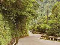🌿 Solo Adventure: Iya Valley – Japan’s Hidden Mountain Paradise