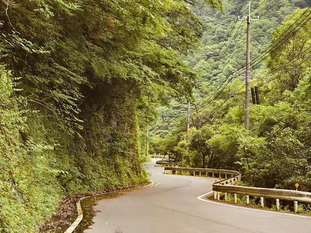 🌿 Solo Adventure: Iya Valley – Japan’s Hidden Mountain Paradise