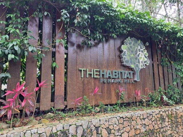 用雙腳漫遊喬治市