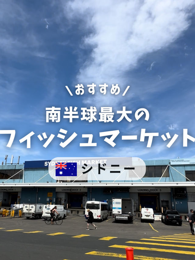 南半球最大のフィッシュマーケット🐟