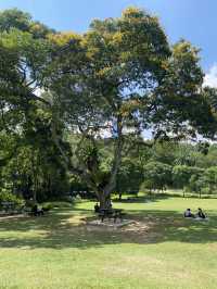 My My Go-To Park in KL: Perdana Botanical Garden