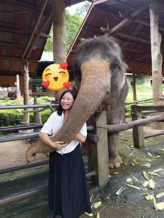 เที่ยวเชียงใหม่คนเดียว 