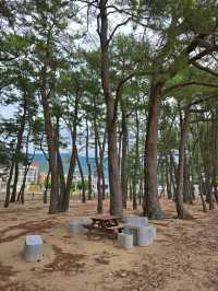 한적하게 해수욕하기 좋은 상주은모래비치🏖