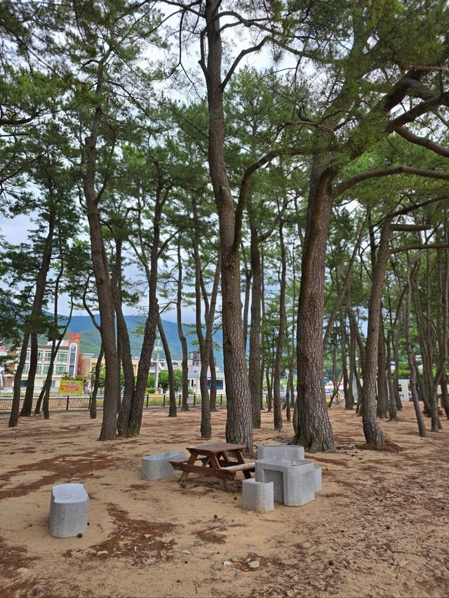 한적하게 해수욕하기 좋은 상주은모래비치🏖