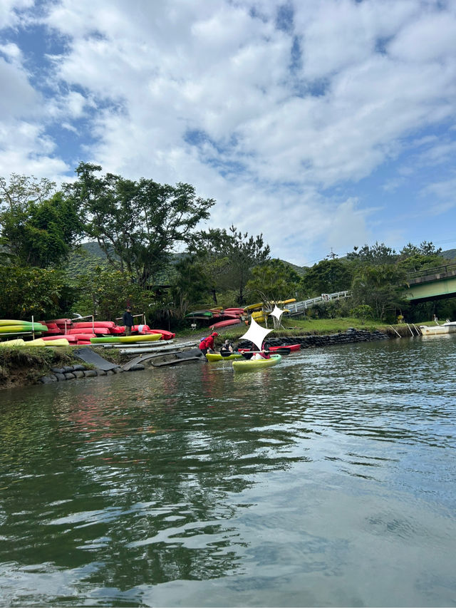 🌴【奄美大島】世界遺産のマングローブでカヌー🛶