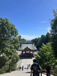 【神奈川・鎌倉市】鶴岡八幡宮〜商売繁盛、勝負運、良縁、安産のパワースポット〜