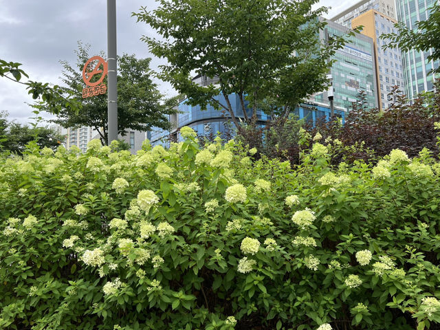 하남 미사호수공원의 풍경