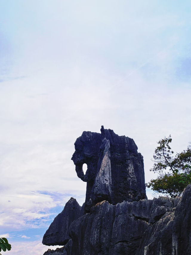 🪨Stone Forest, Kunming – A Surreal Masterpiece of Nature!