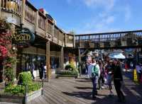 🌊 Pier 39 San Francisco: เดินชิล ชมสิงโตทะเล!