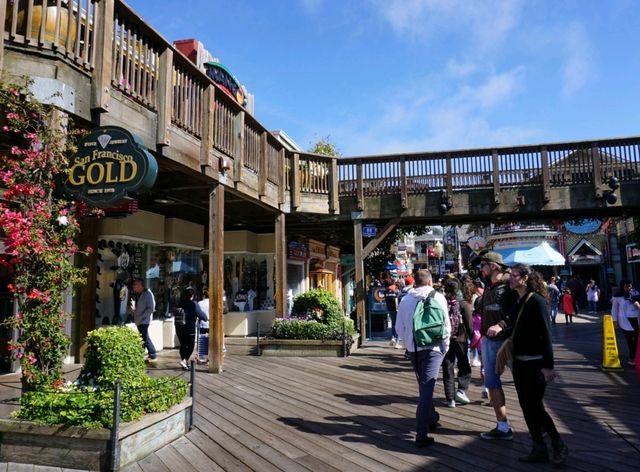 🌊 Pier 39 San Francisco: เดินชิล ชมสิงโตทะเล!