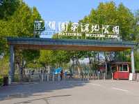 Yanghu Wetland Park 🌾