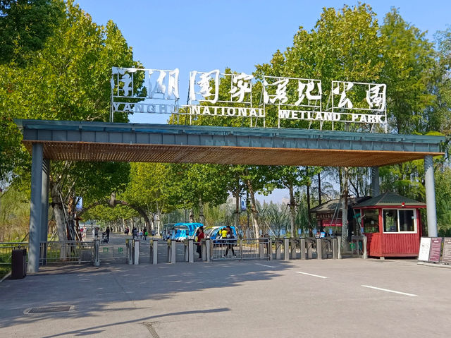 Yanghu Wetland Park 🌾