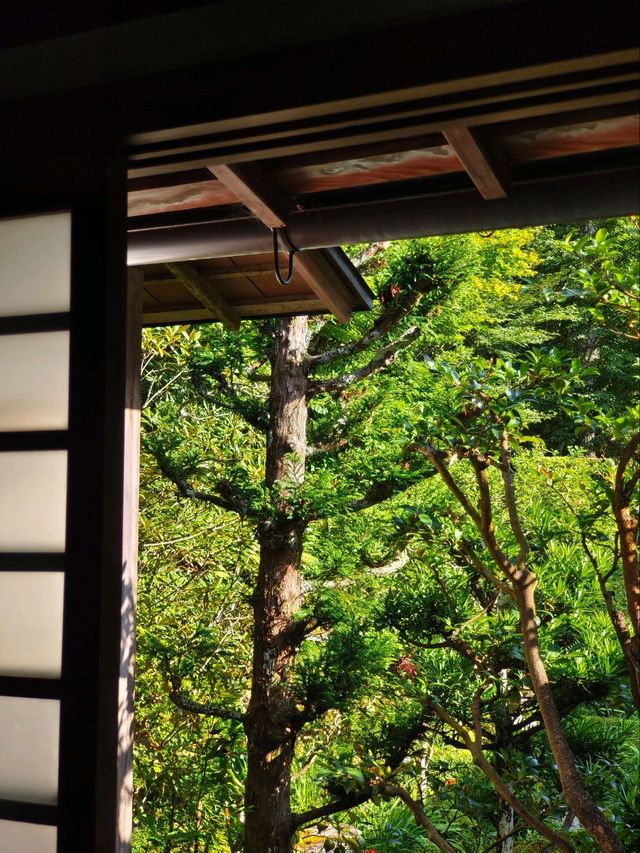 慢活自駕遊京都周邊景點