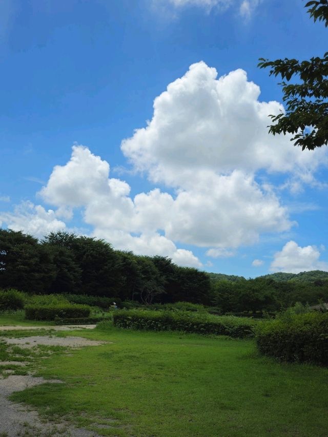 인천대공원 자전거 타기 좋은 곳