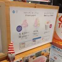 【東京/吉祥寺🇯🇵】フローズンヨーグルト専門店🥛ウッドベリーズ
