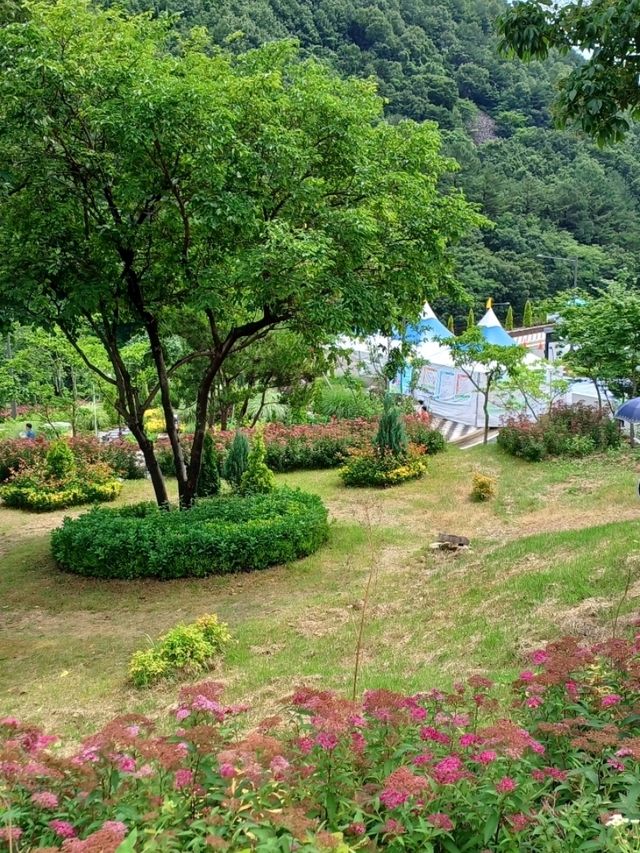 여름을 수놓는 꽃의 향연