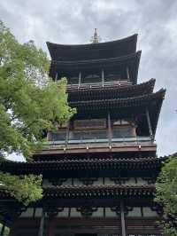 In The Pines Above The City: A Quiet Climb To Wangxian