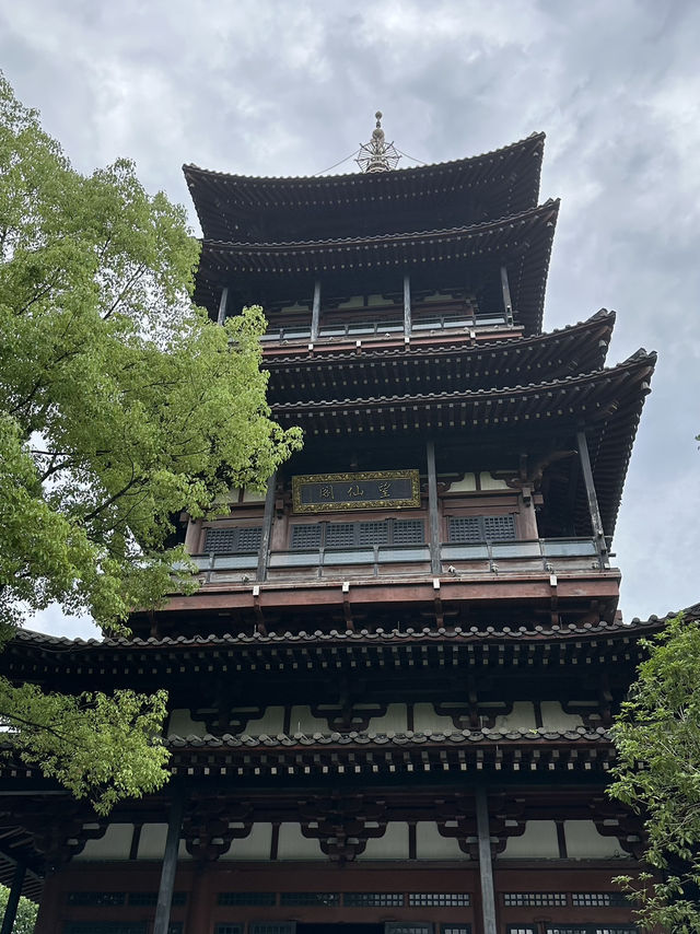 In The Pines Above The City: A Quiet Climb To Wangxian