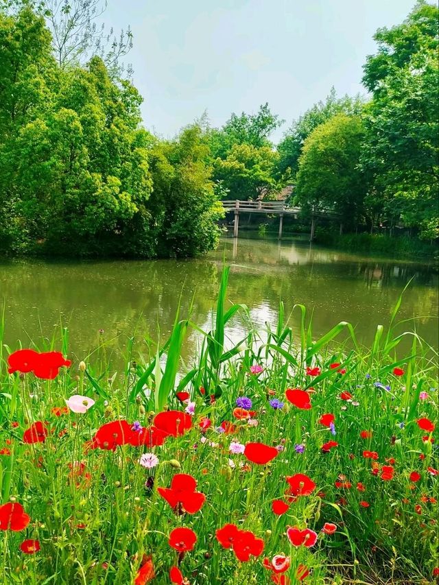 XIXI WETLAND PARK · CHINA’S ANSWER TO VENICE’S WILD COUSIN