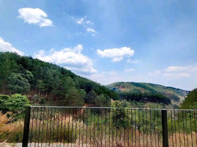 大叻藍山農場
