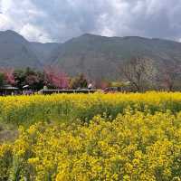 Erhai Lake (Yunnan)