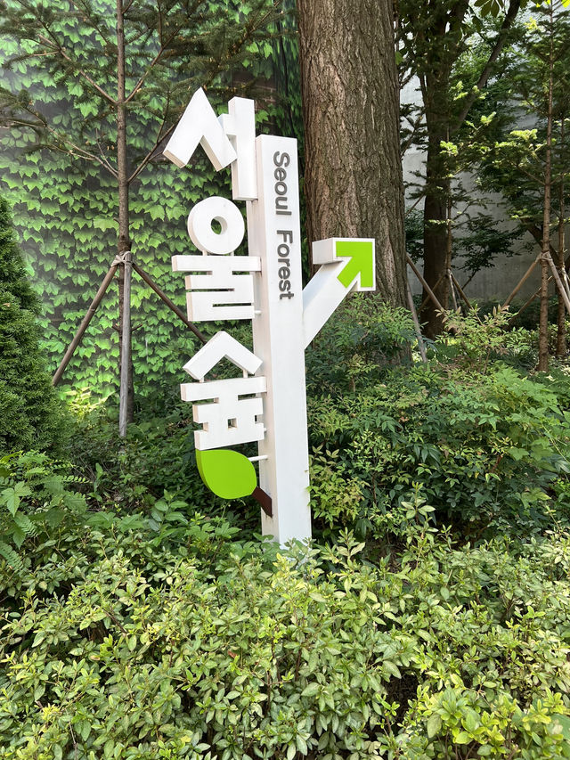 서울숲을 산책하고 성수동 카페거리도 걸어볼까요